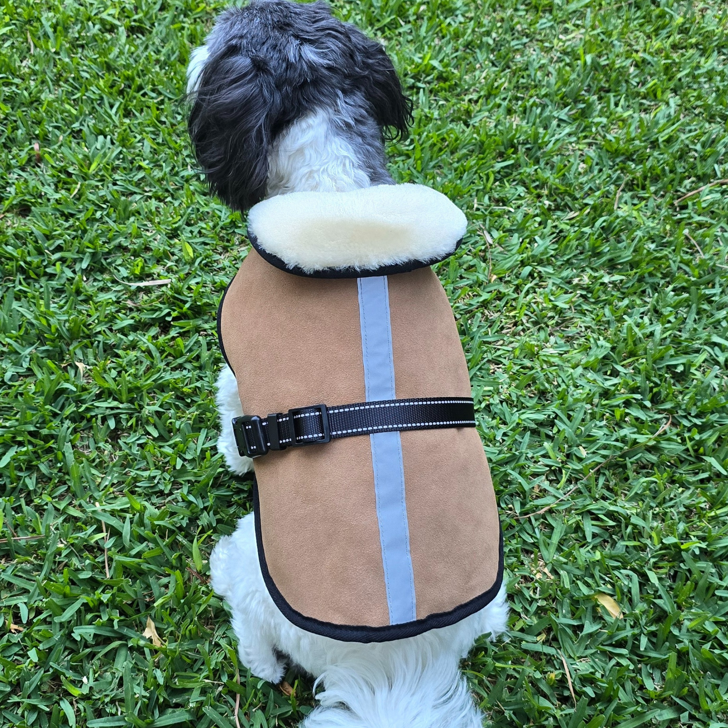 Sheepskin Dog Coat