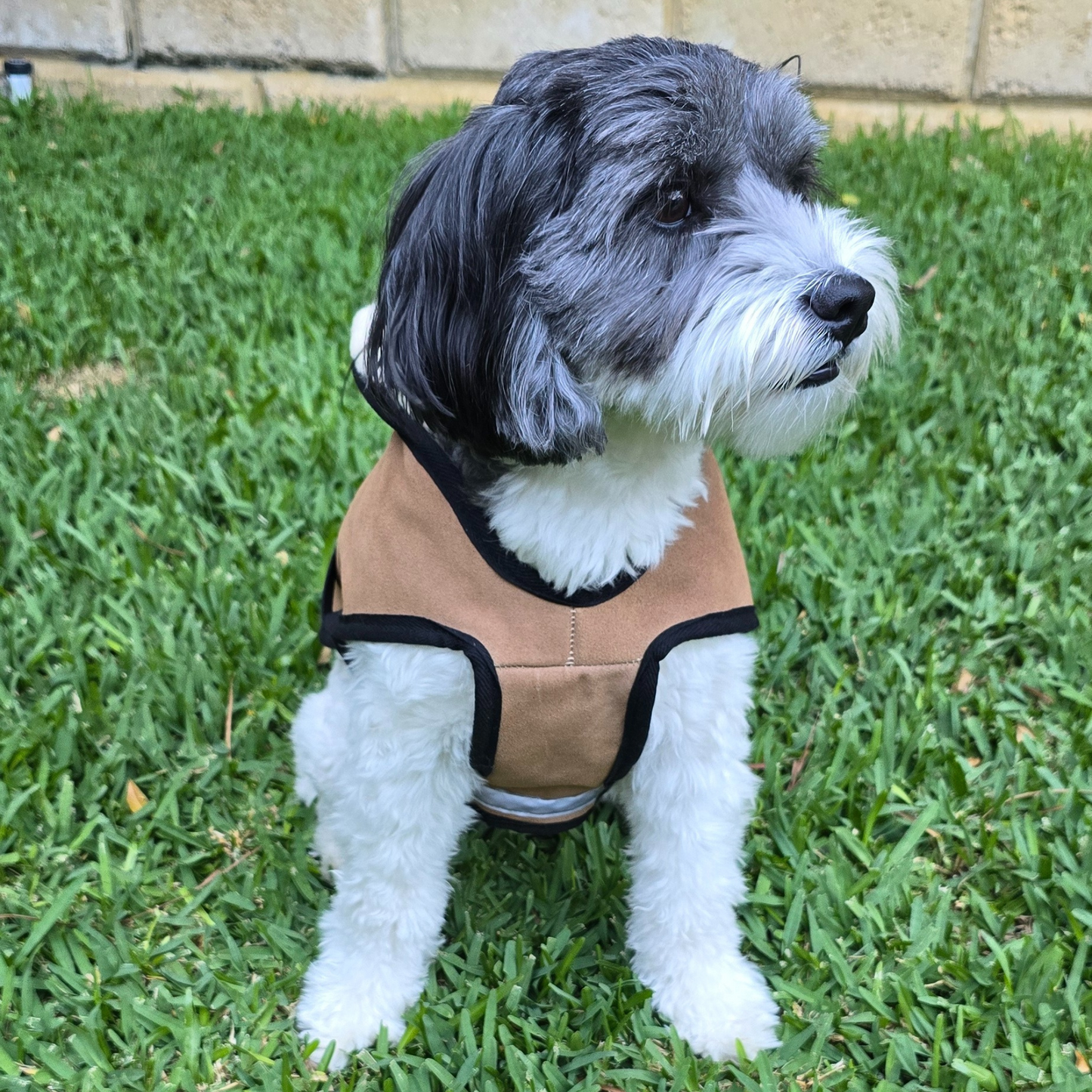 Sheepskin Dog Coat