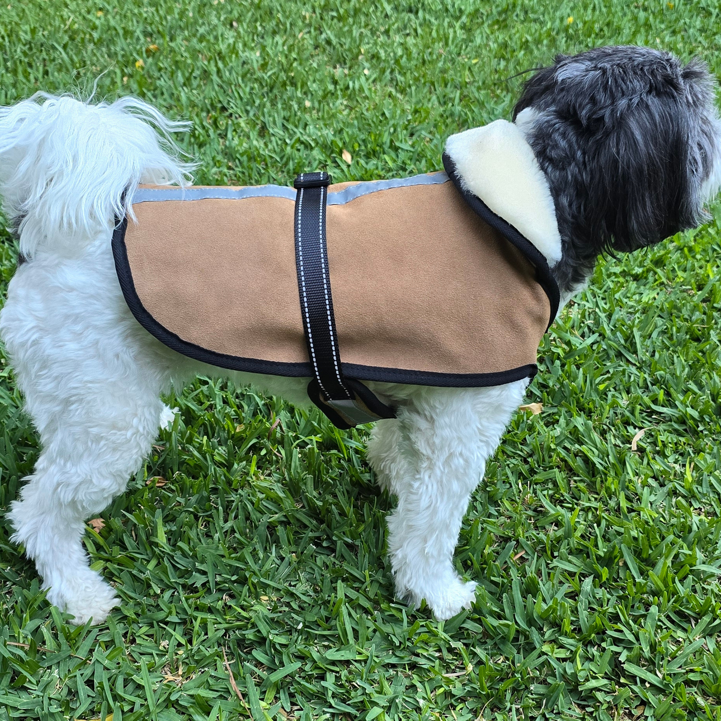 Sheepskin Dog Coat
