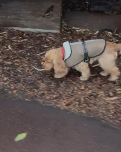 Sheepskin Dog Coat