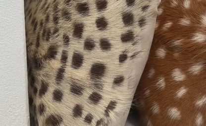 Animal Print Goat Skin Cushion Covers (30x50cm)